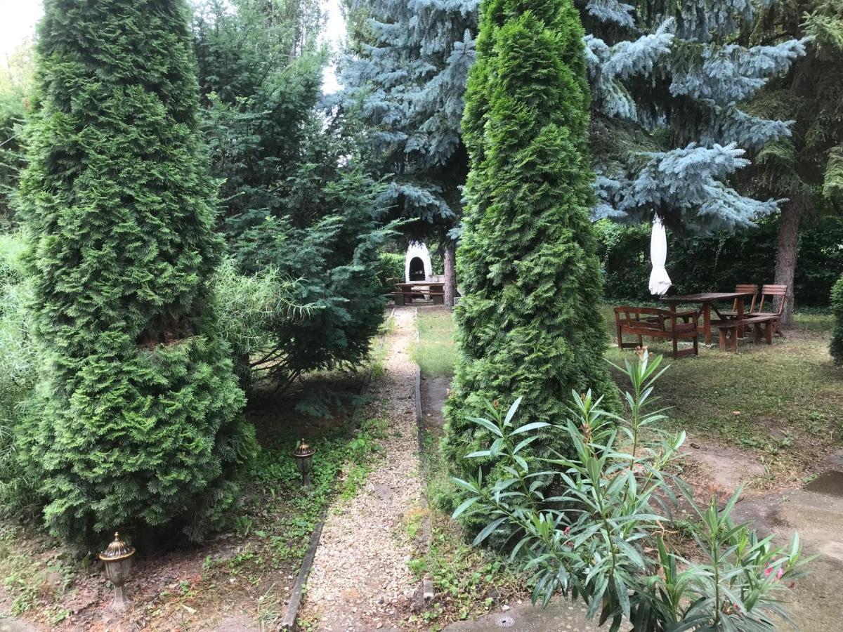 Platanus Vendeghaz Zamardi Bed and Breakfast Εξωτερικό φωτογραφία